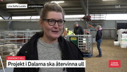 20240429-Lokala-Nyheter-Dalarna-29-apr-08-07